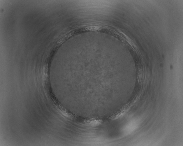 X0000051890553200506241352