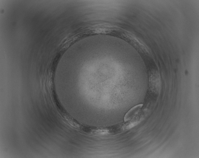 X0000051890554200506241352