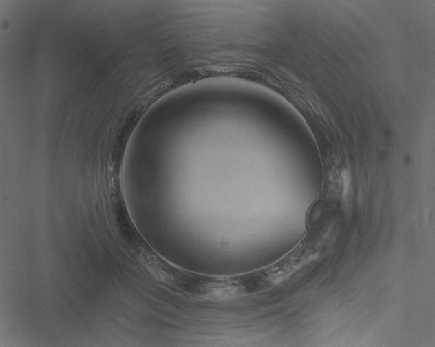 X0000051890555200506241352