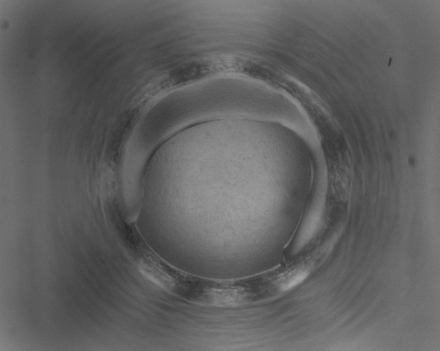 X0000051890556200506241352