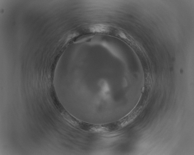 X0000051890557200506241352