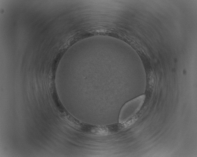 X0000051890559200506241352