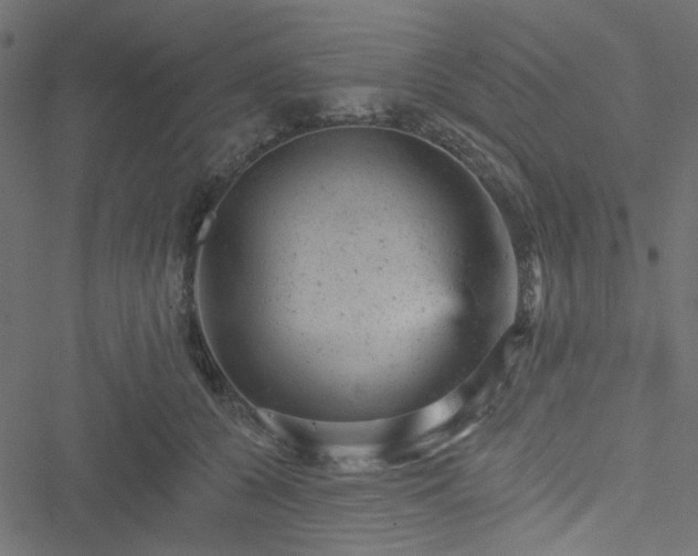 X0000051890560200506241352