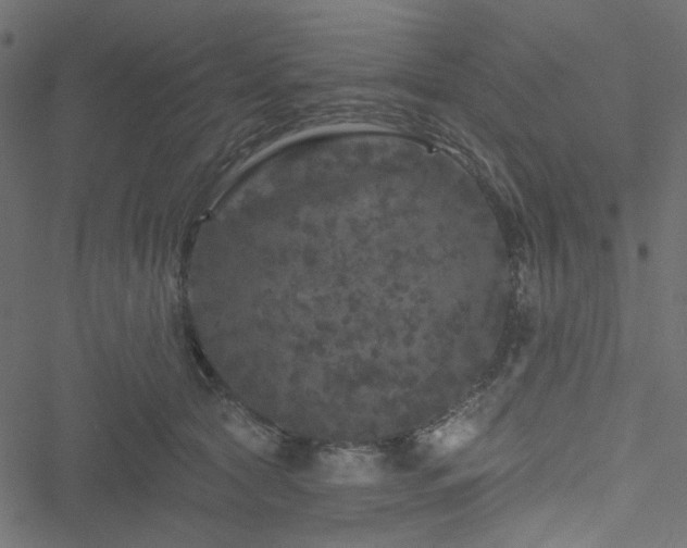 X0000051890561200506241352