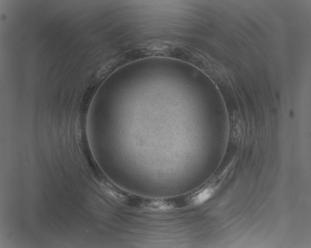 X0000051890562200506241352