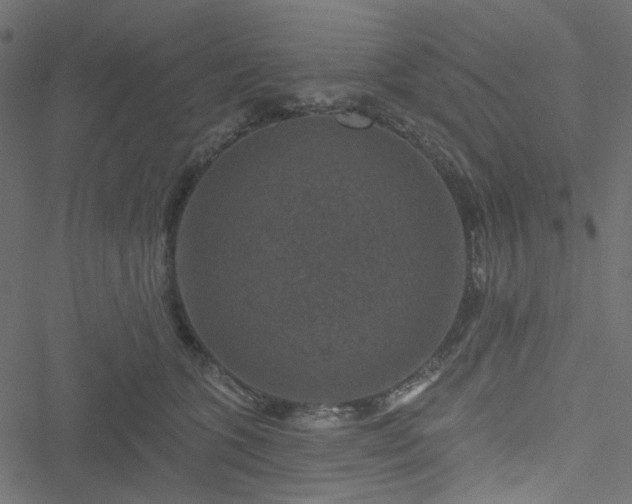 X0000051890563200506241352