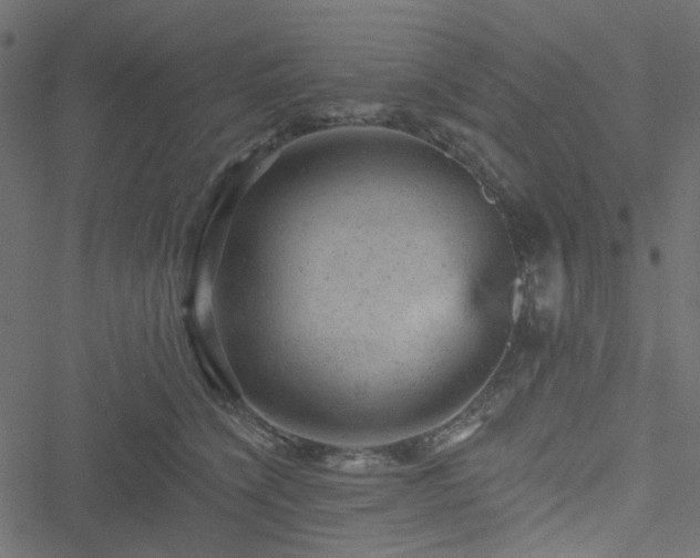 X0000051890564200506241352