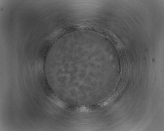 X0000051890565200506241352