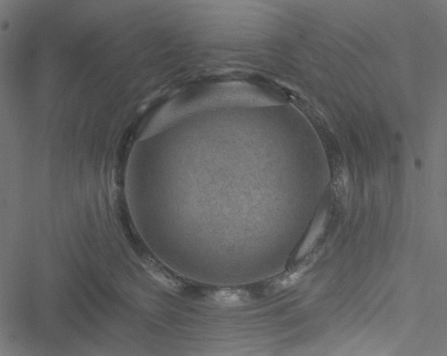 X0000051890566200506241352