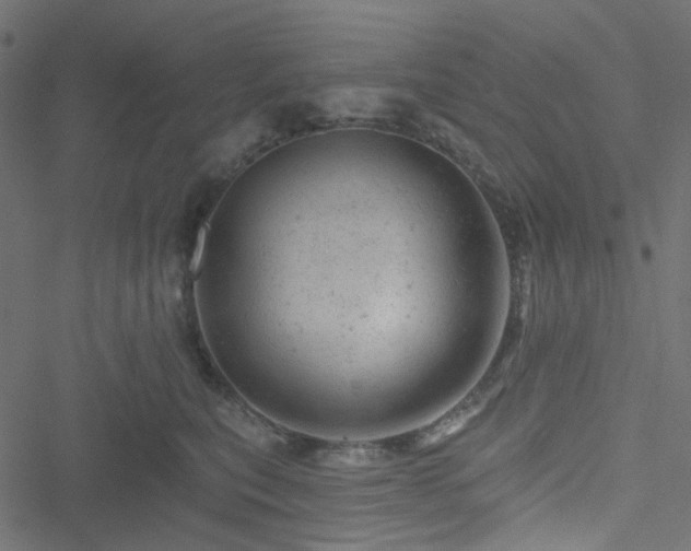 X0000051890567200506241352