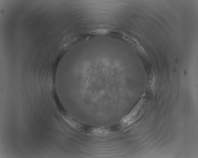 X0000051890568200506241352