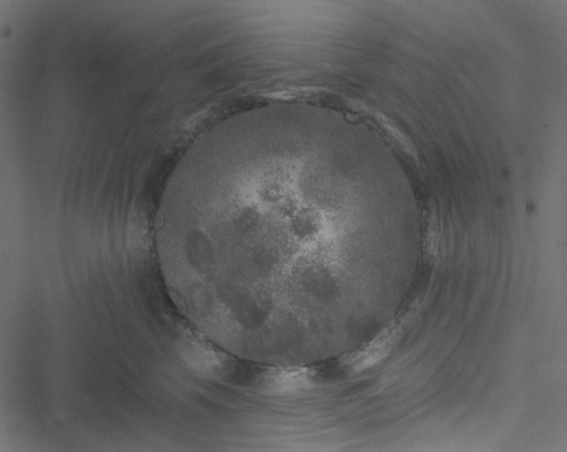 X0000051890569200506241352