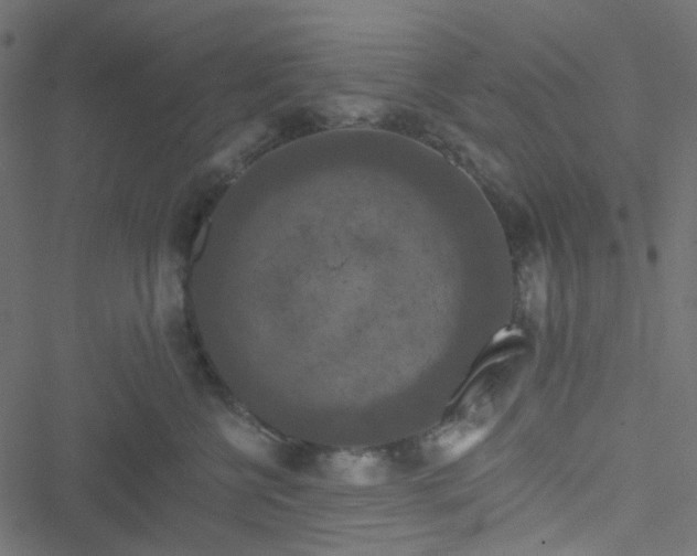 X0000051890570200506241352