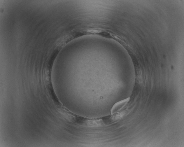 X0000051890571200506241352