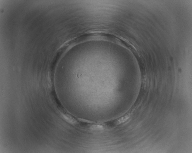 X0000051890572200506241352