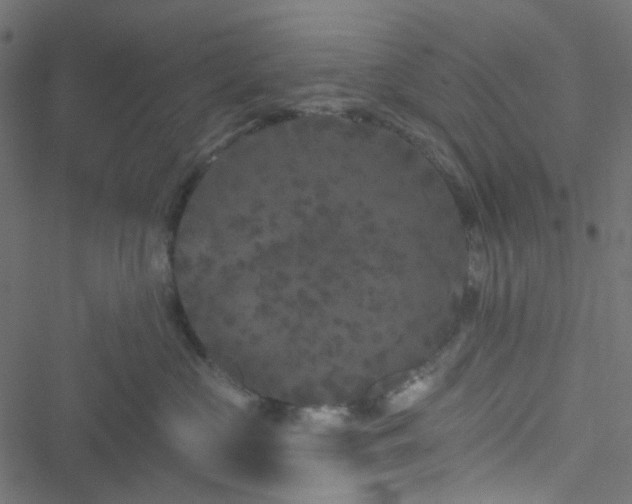 X0000051890573200506241352