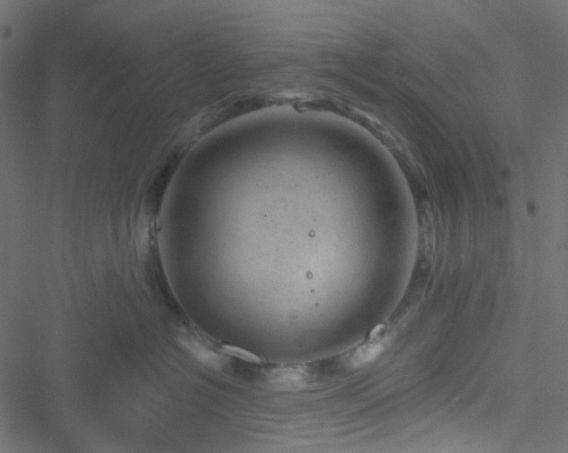 X0000051890574200506241352