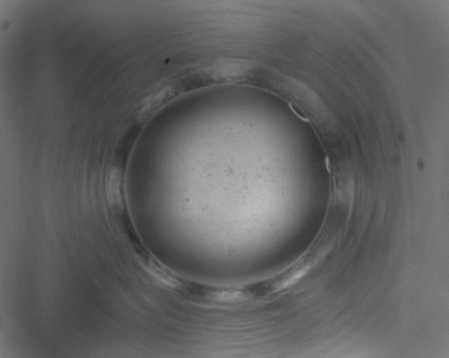 X0000051890575200506241352