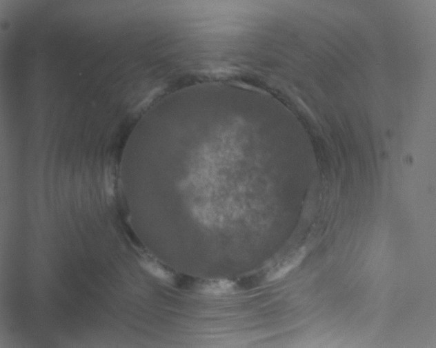 X0000051890576200506241352