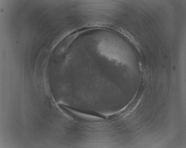 X0000051890577200506241351