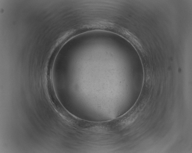 X0000051890578200506241351