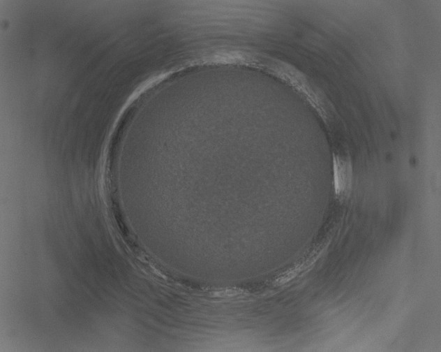 X0000051890579200506241351