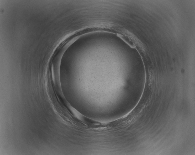 X0000051890580200506241351