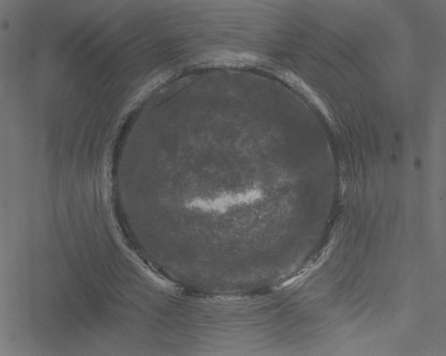 X0000051890581200506241351