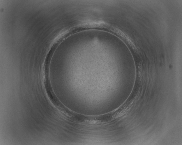 X0000051890582200506241351