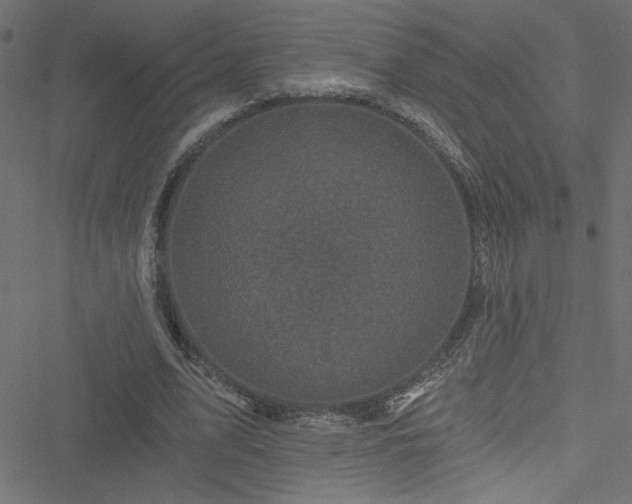 X0000051890583200506241351