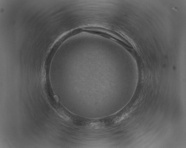 X0000051890584200506241351