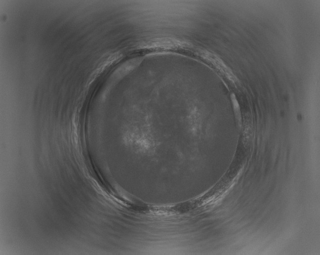 X0000051890585200506241351