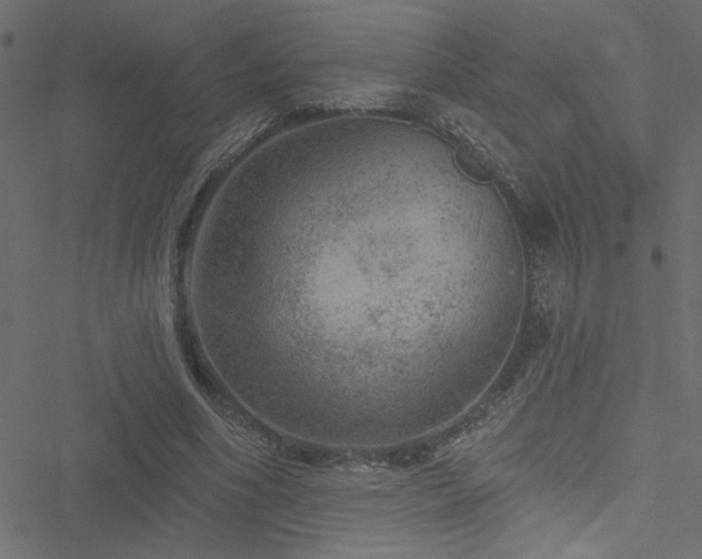 X0000051890586200506241351