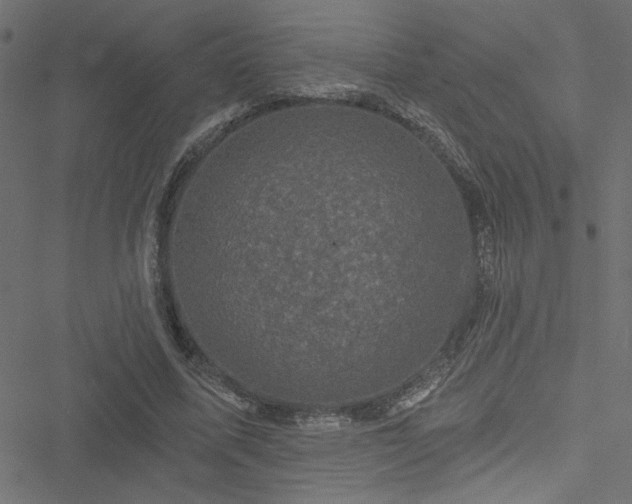 X0000051890587200506241351