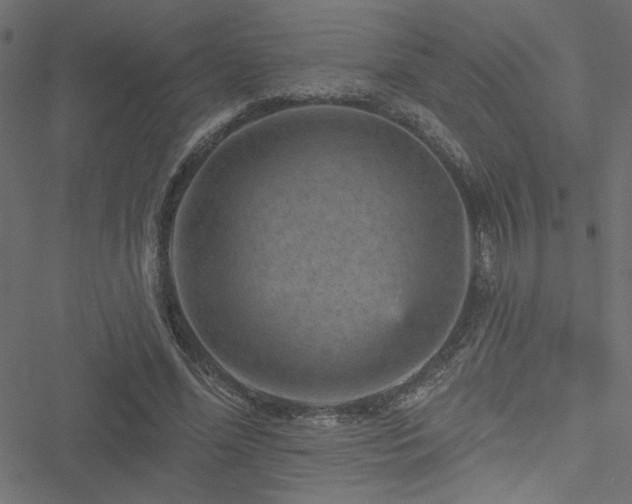 X0000051890588200506241351