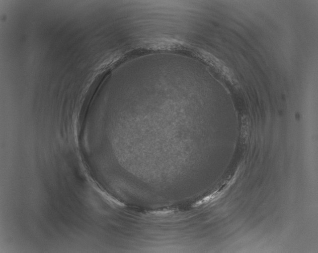 X0000051890589200506241351