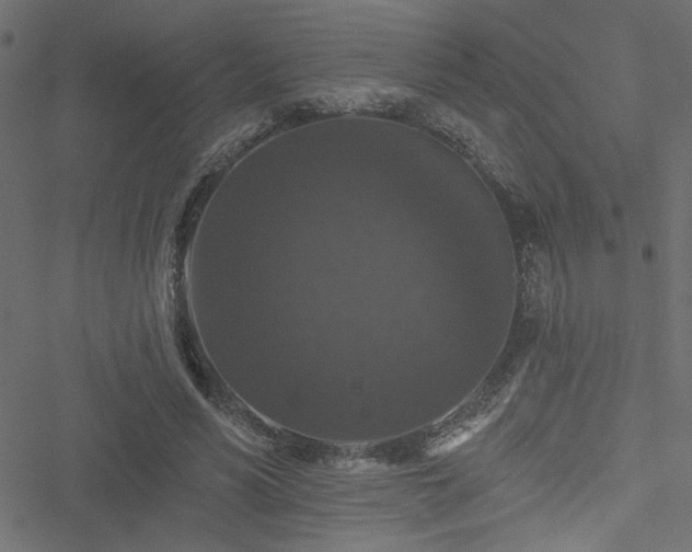 X0000051890590200506241351