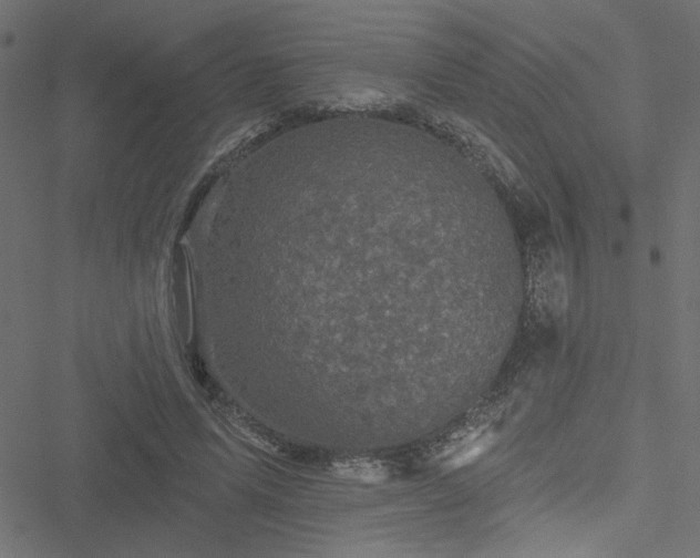 X0000051890591200506241351