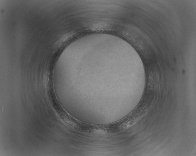 X0000051890592200506241351