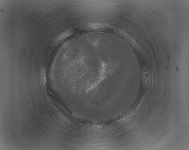 X0000051890593200506241351