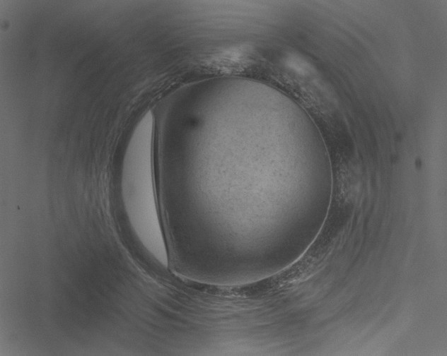 X0000051890594200506241351