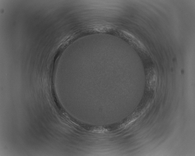 X0000051890595200506241351