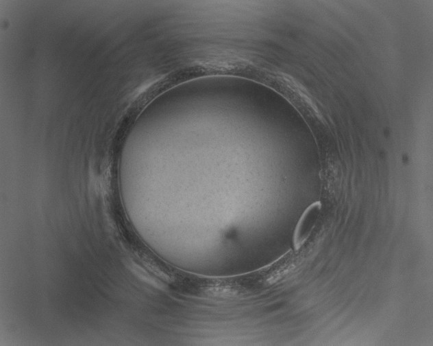 X0000051890596200506241351