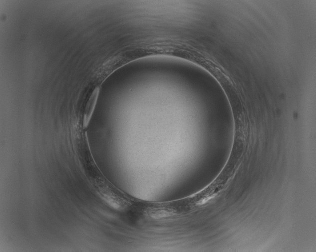 X0000051890597200506241351