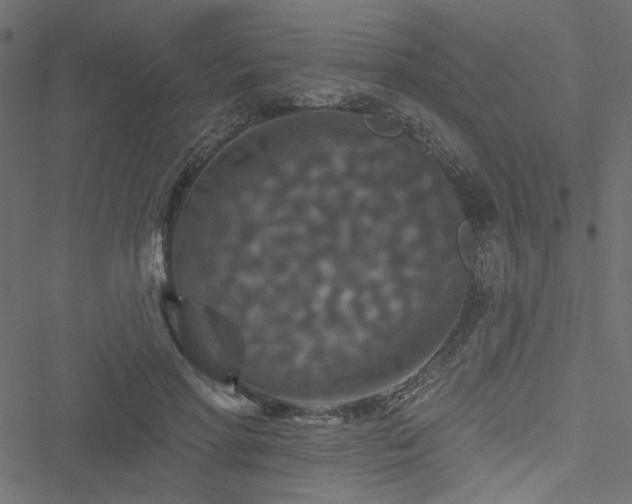 X0000051890598200506241351