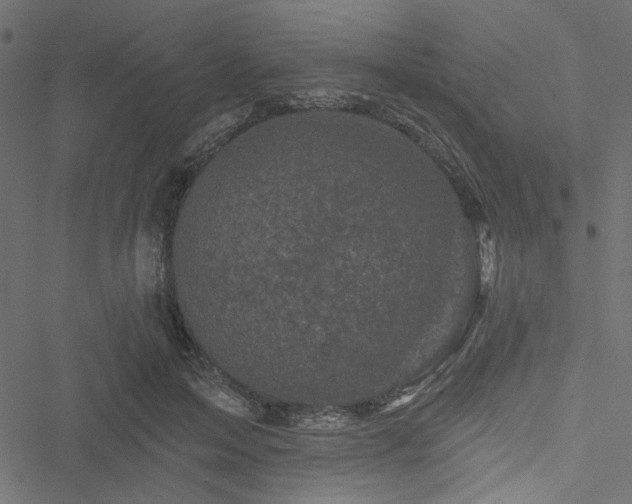 X0000051890599200506241351