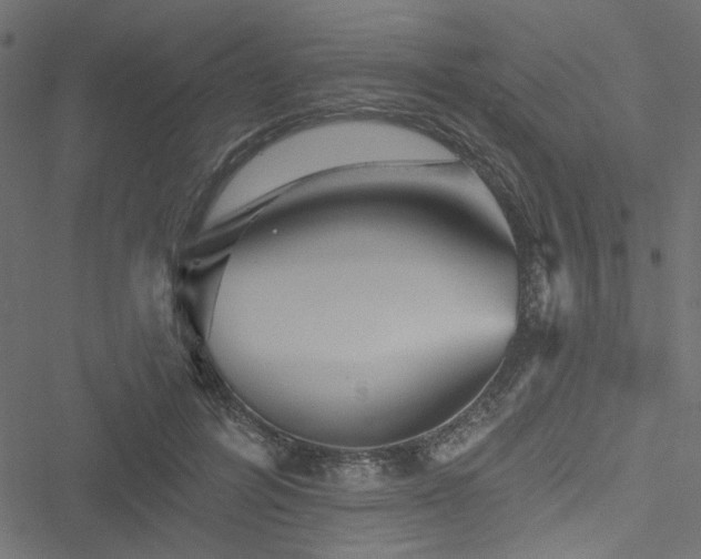 X0000051890600200506241351