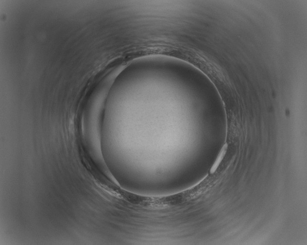 X0000051890601200506241351