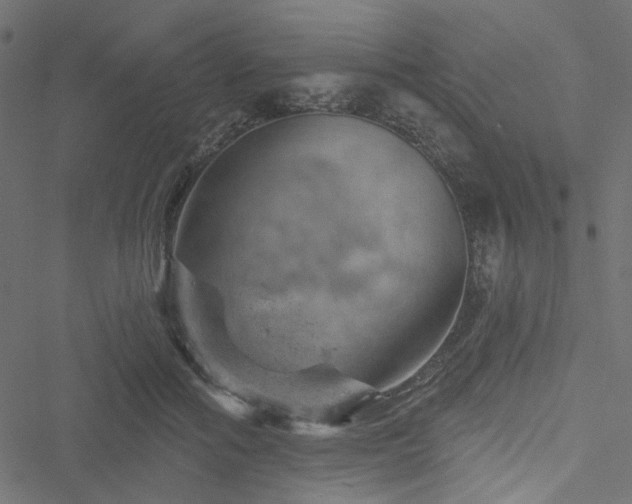 X0000051890602200506241351