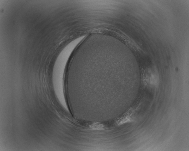 X0000051890603200506241351